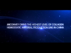 MICONVEY Company Introduction